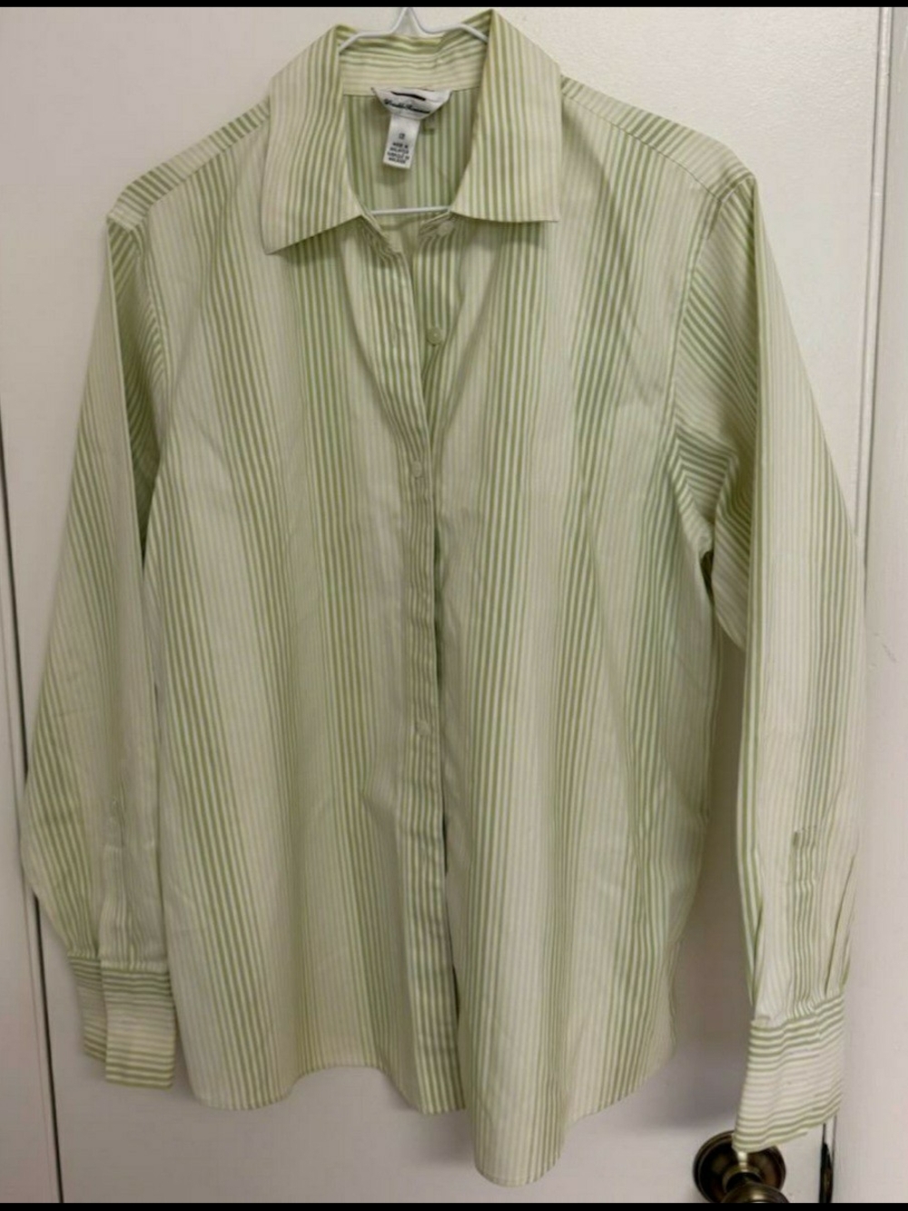 Talbots Light Green and White Striped Dress Shirt